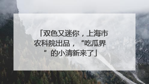 双色又迷你，上海市农科院出品，“吃瓜界”的小清新来了