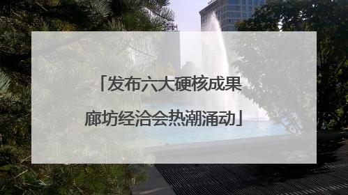 发布六大硬核成果 廊坊经洽会热潮涌动