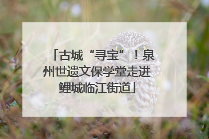 古城“寻宝”！泉州世遗文保学堂走进鲤城临江街道