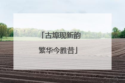 古埠现新韵 繁华今胜昔