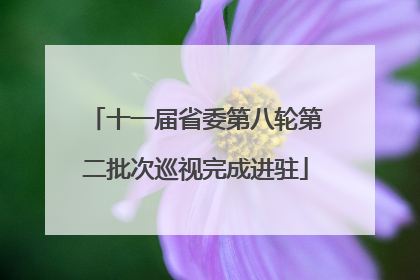 十一届省委第八轮第二批次巡视完成进驻