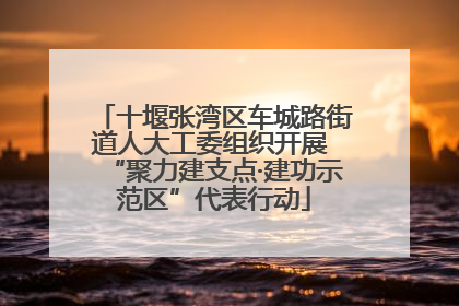 十堰张湾区车城路街道人大工委组织开展 “聚力建支点·建功示范区”代表行动