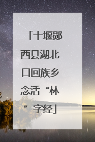 十堰郧西县湖北口回族乡念活“林”字经