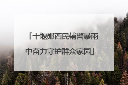 十堰郧西民辅警暴雨中奋力守护群众家园