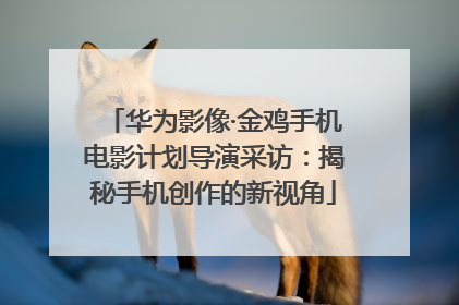 华为影像·金鸡手机电影计划导演采访：揭秘手机创作的新视角
