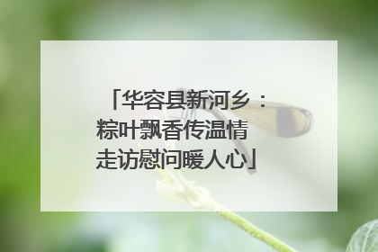 华容县新河乡：粽叶飘香传温情 走访慰问暖人心
