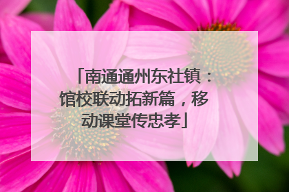 南通通州东社镇：馆校联动拓新篇，移动课堂传忠孝