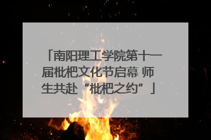 南阳理工学院第十一届枇杷文化节启幕 师生共赴“枇杷之约”