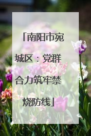 南阳市宛城区：党群合力筑牢禁烧防线