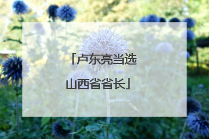 卢东亮当选山西省省长