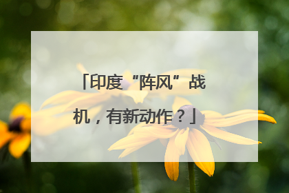 印度“阵风”战机，有新动作？
