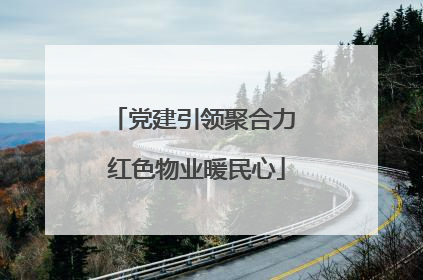 党建引领聚合力 红色物业暖民心