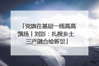 党旗在基层一线高高飘扬丨刘影：扎根乡土 三产融合绘新景