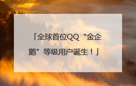 全球首位QQ“金企鹅”等级用户诞生！