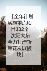 全年计划实施重点项目132个 沈阳大东全力打造新望花发展板块