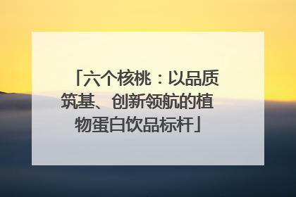 六个核桃：以品质筑基、创新领航的植物蛋白饮品标杆