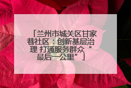 兰州市城关区甘家巷社区：创新基层治理 打通服务群众“最后一公里”