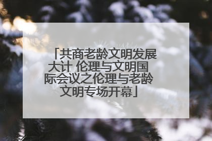 共商老龄文明发展大计 伦理与文明国际会议之伦理与老龄文明专场开幕