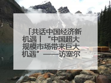 共话中国经济新机遇丨“中国超大规模市场带来巨大机遇”——访塞尔维亚经济部国务秘书尼科利奇
