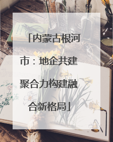 内蒙古根河市：地企共建聚合力构建融合新格局