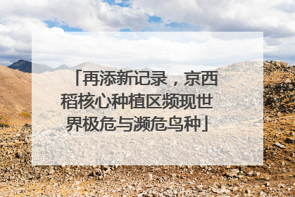 再添新记录，京西稻核心种植区频现世界极危与濒危鸟种