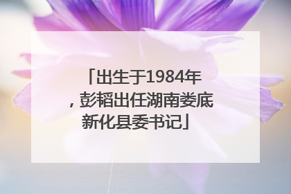出生于1984年，彭韬出任湖南娄底新化县委书记