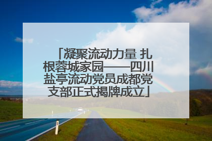 凝聚流动力量 扎根蓉城家园——四川盐亭流动党员成都党支部正式揭牌成立