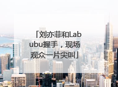 刘亦菲和Labubu握手，现场观众一片尖叫