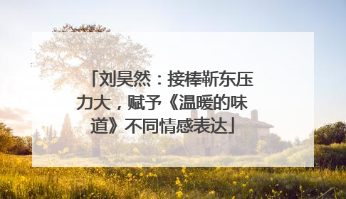 刘昊然：接棒靳东压力大，赋予《温暖的味道》不同情感表达