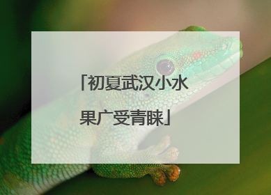 初夏武汉小水果广受青睐