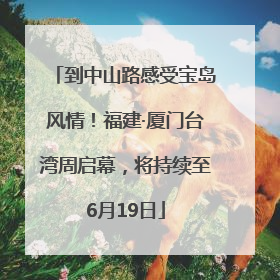 到中山路感受宝岛风情！福建·厦门台湾周启幕，将持续至6月19日