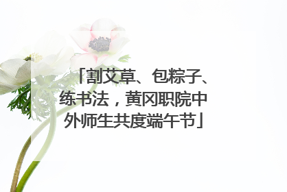 割艾草、包粽子、练书法，黄冈职院中外师生共度端午节