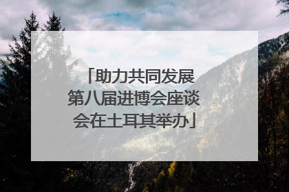 助力共同发展 第八届进博会座谈会在土耳其举办