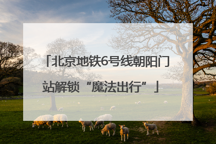 北京地铁6号线朝阳门站解锁“魔法出行”