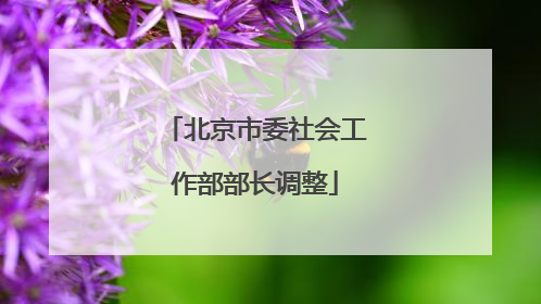 北京市委社会工作部部长调整
