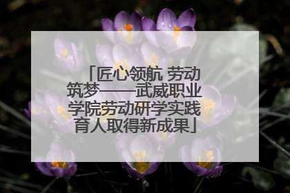 匠心领航 劳动筑梦——武威职业学院劳动研学实践育人取得新成果