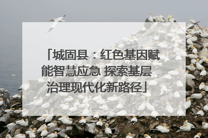 城固县：红色基因赋能智慧应急 探索基层治理现代化新路径