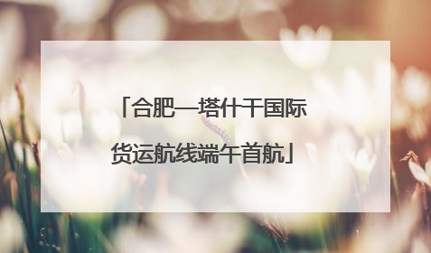 合肥—塔什干国际货运航线端午首航