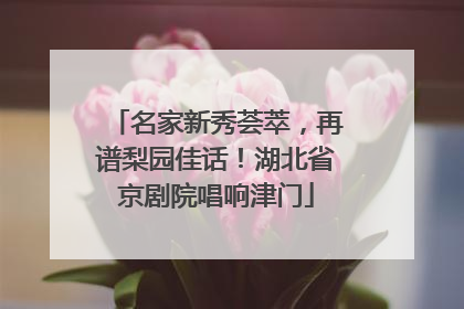 名家新秀荟萃，再谱梨园佳话！湖北省京剧院唱响津门