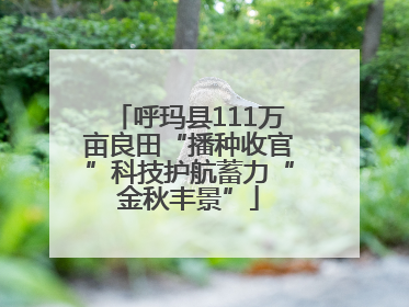 呼玛县111万亩良田“播种收官”科技护航蓄力“金秋丰景”