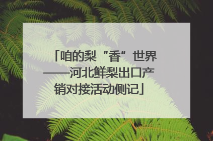 咱的梨“香”世界——河北鲜梨出口产销对接活动侧记