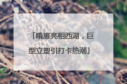哦崽亮相西湖，巨型立塑引打卡热潮