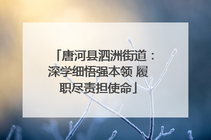 唐河县泗洲街道：深学细悟强本领 履职尽责担使命