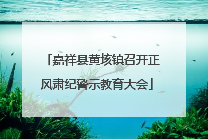 嘉祥县黄垓镇召开正风肃纪警示教育大会
