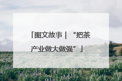 图文故事｜“把茶产业做大做强”