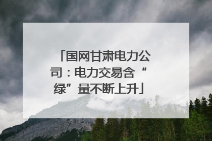 国网甘肃电力公司：电力交易含“绿”量不断上升