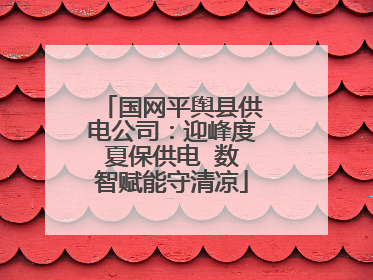 国网平舆县供电公司：迎峰度夏保供电  数智赋能守清凉