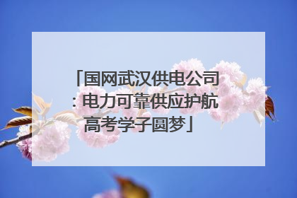 国网武汉供电公司：电力可靠供应护航高考学子圆梦