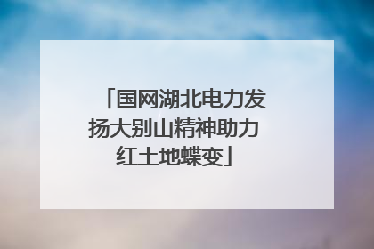 国网湖北电力发扬大别山精神助力红土地蝶变