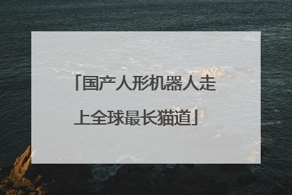 国产人形机器人走上全球最长猫道